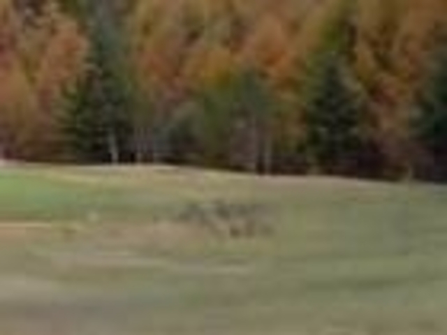 アクセルゼンカイさんの浅間高原カントリー倶楽部の投稿写真1