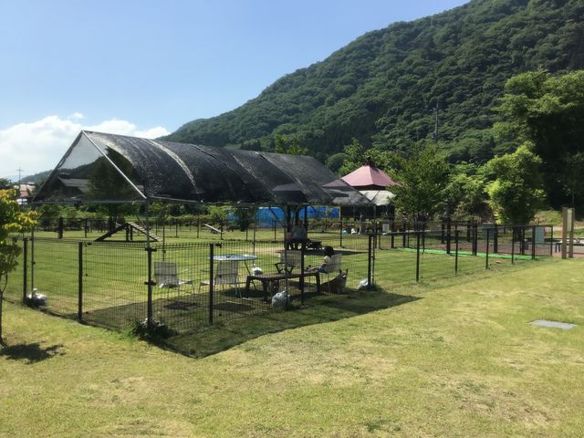 ワンチャン憩いの場_あがつまふれあい公園