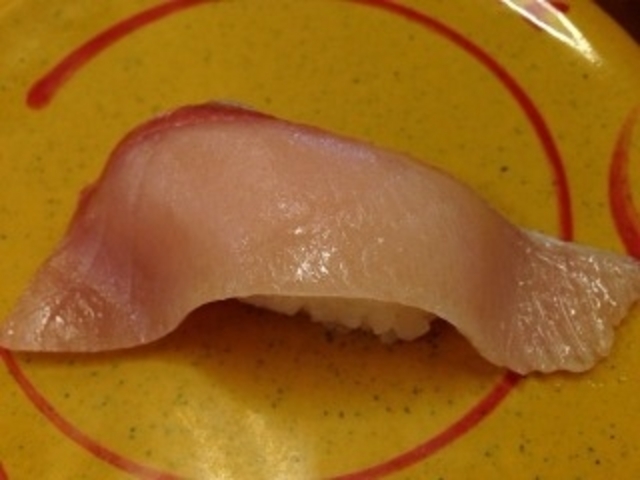 ぶりトロも食べました!_スシロー 東大阪みくりや店