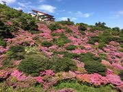 poporonさんの雲仙ロープウェイの投稿写真1