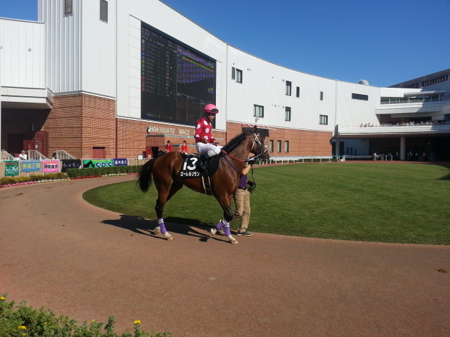 パドック_函館競馬場