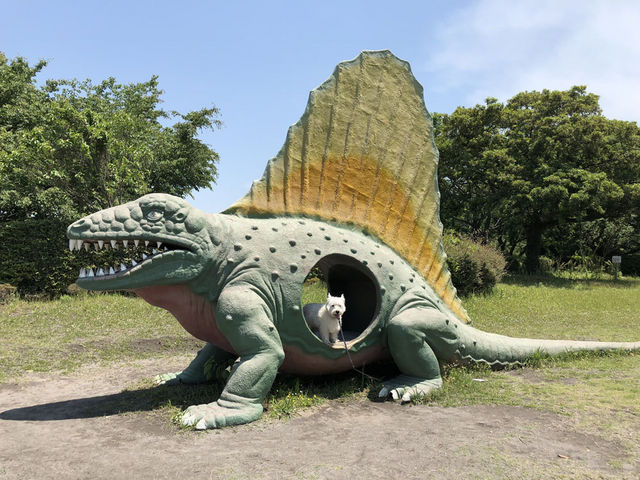 恐竜公園_桜島自然恐竜公園