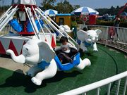 つかさめさんのおもちゃ王国の投稿写真1