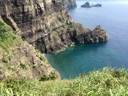 akubi123さんの夜萩円山公園の投稿写真1