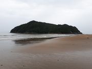 かおりさんの幸島の投稿写真1