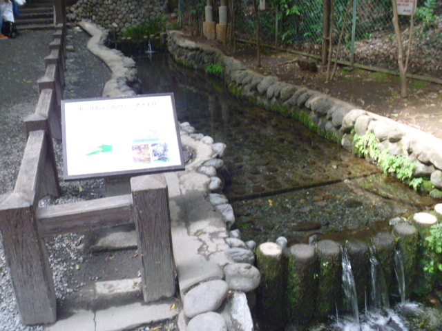 お鷹の道・真姿の池湧水群