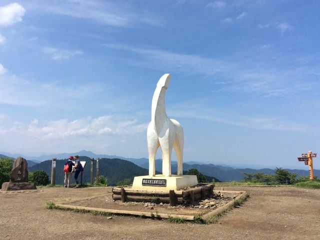 山頂の白馬_陣馬山