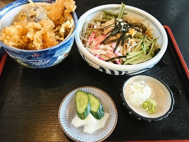 ミニ天丼とミニ冷し蕎麦_林屋