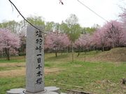 たかちゃんさんの塩狩峠一目千本桜の投稿写真1