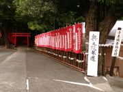 こんぱらさんの五社稲荷社の投稿写真3