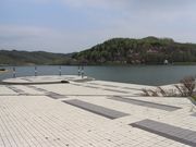 たかちゃんさんの桜岡湖の投稿写真1