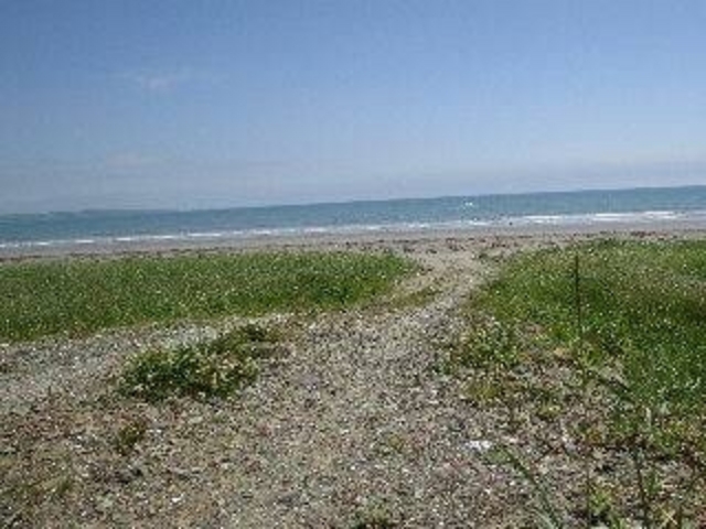カモメなども見かけました。_なぎさのドライブウェイ 北海道道123号別海厚岸線