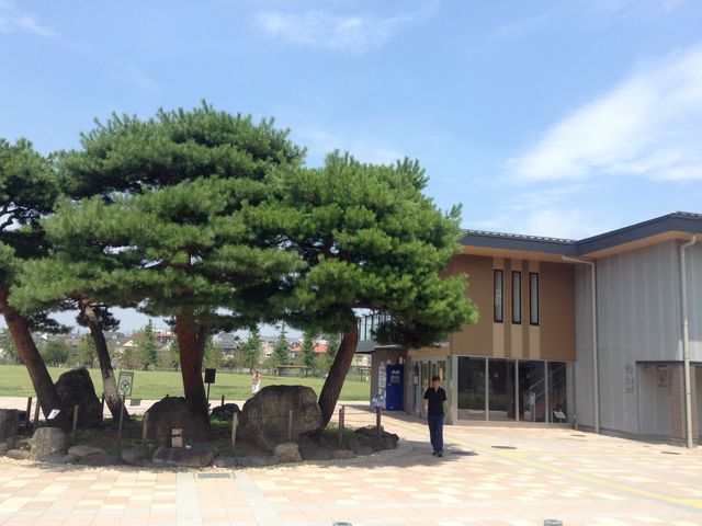 アスレチック_下高井戸おおぞら公園