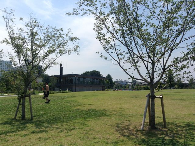 脇に流れる神田川_下高井戸おおぞら公園
