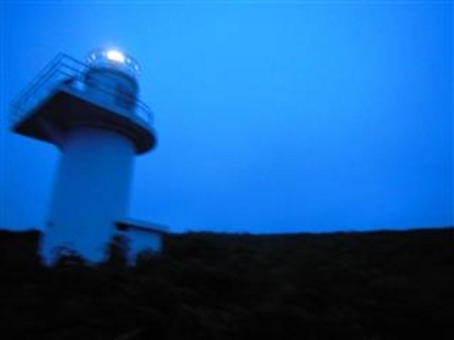 甘辛熊さんの天売観光ガイドツアーの投稿写真4