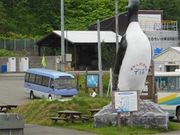 甘辛熊さんの天売観光ガイドツアーの投稿写真1