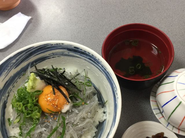 生しらす丼最高_レストラン 浜千鳥