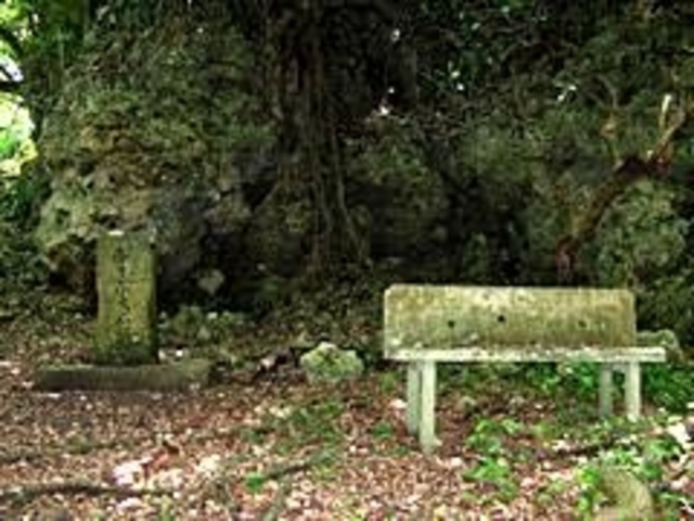 暗い雰囲気…_ぶりぶち公園