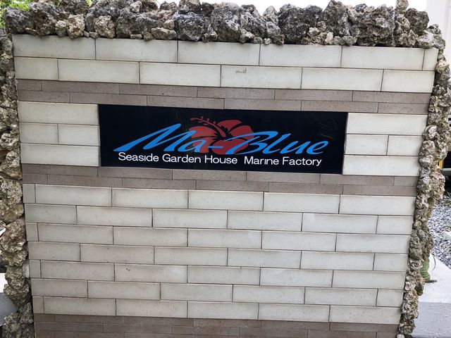 マーブルーガーデンハウスカフェ_Ma-Blue Garden House
