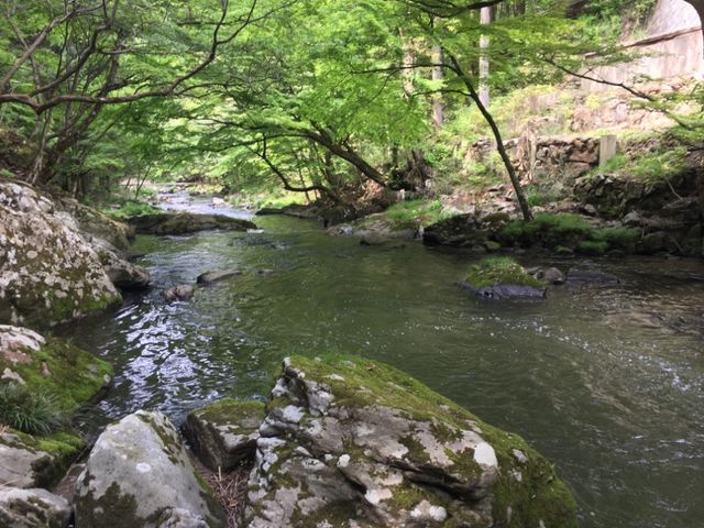 緩やかな流れ_江竜田の滝