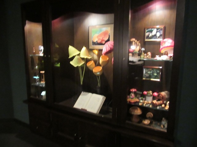 展示物_茨城県きのこ博士館