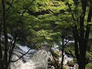 かずさんの江竜田の滝の投稿写真1