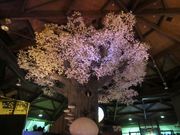 じゅうぞうさんの茨城県きのこ博士館の投稿写真5