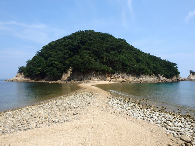 コムさんの明南海岸(南風台付近)の投稿写真1