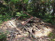 コムさんの明南海岸(南風台付近)の投稿写真2