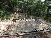 コムさんの明南海岸(南風台付近)の投稿写真3