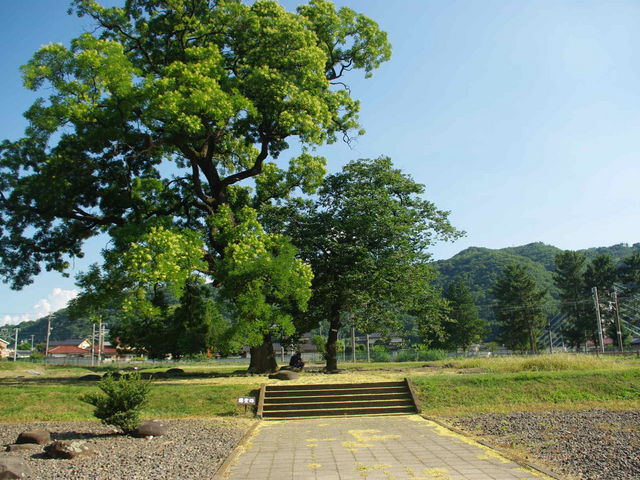 信濃国分寺跡