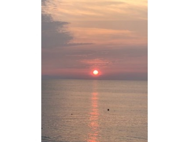 和田さんの藤塚浜海水浴場の投稿写真4