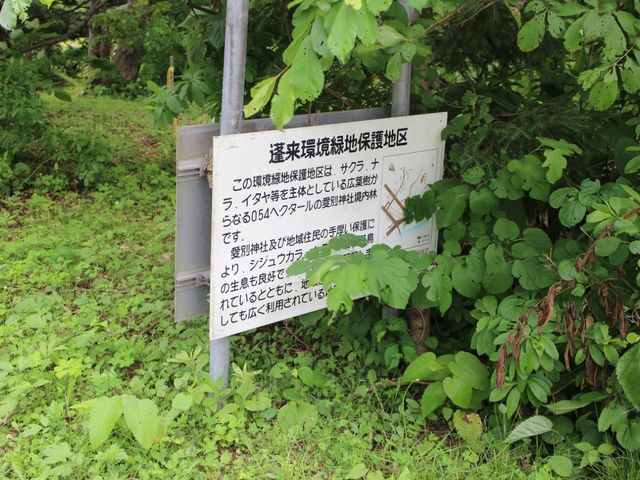 蓬莱環境緑地保護地区_蓬莱山