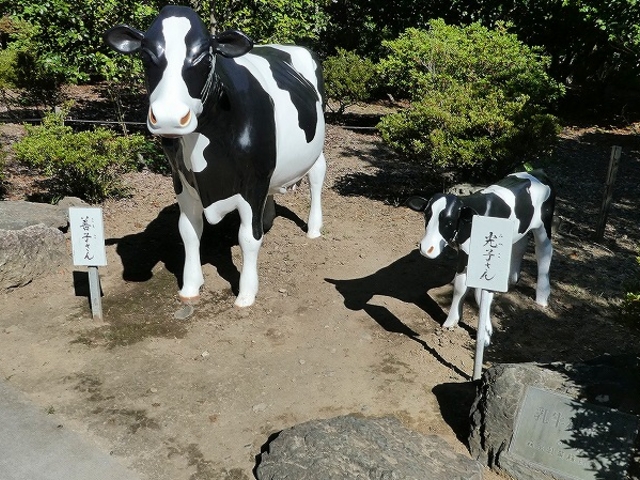 長野県・善光寺・森永乳業・牛乳親子像_善光寺(長野県長野市)