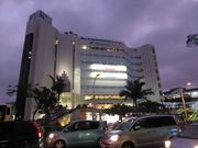 すずめめだかさんのパレットくもじの投稿写真1