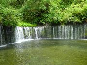 マックさんの白糸の滝の投稿写真20