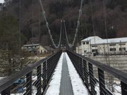 ぽん太さんの湯西川水の郷 大吊橋の投稿写真1