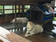 アンさんのきくや商店の投稿写真1