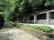 雷雷クーンさんの江戸川公園のさくらの投稿写真2