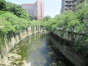 雷雷クーンさんの江戸川公園のさくらの投稿写真3