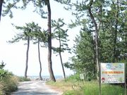 TKSさんの日吉津村海浜運動公園の投稿写真1