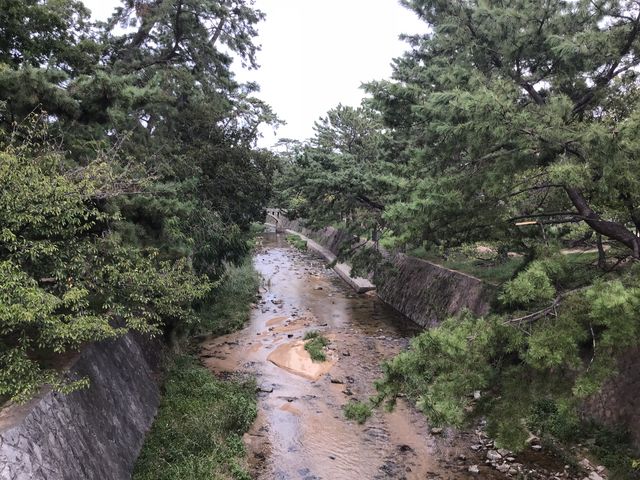 夙川_夙川河川敷緑地(夙川公園)