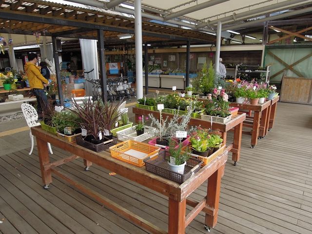 高原の品々がずらり_道の駅かよう高原マーケットかよう