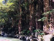 ねこたんぽさんの畳ケ淵の投稿写真1