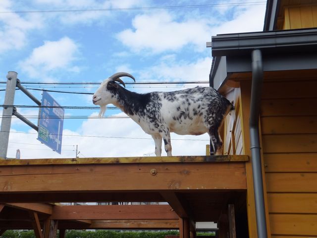 飯田市立動物園