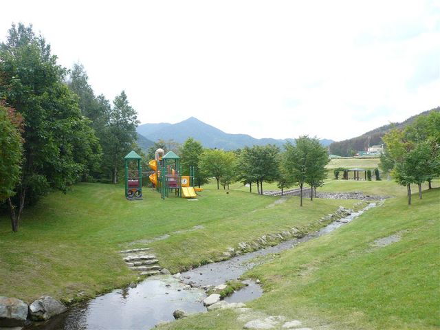 u-minさんのかなやま湖森林公園の投稿写真1