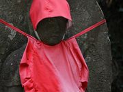 Yanwenliさんの大慈寺の投稿写真8