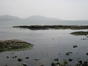 すずめめだかさんの千畳敷の投稿写真1
