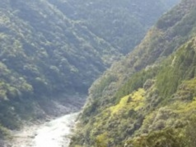 平成の森_平成の森