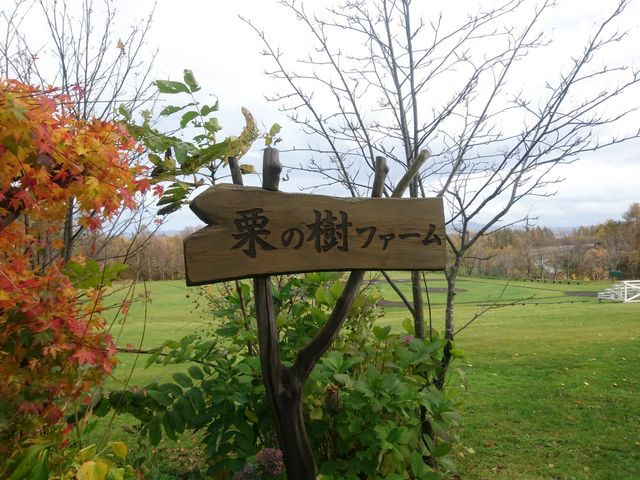 グラウンドもあります_栗の樹ファーム